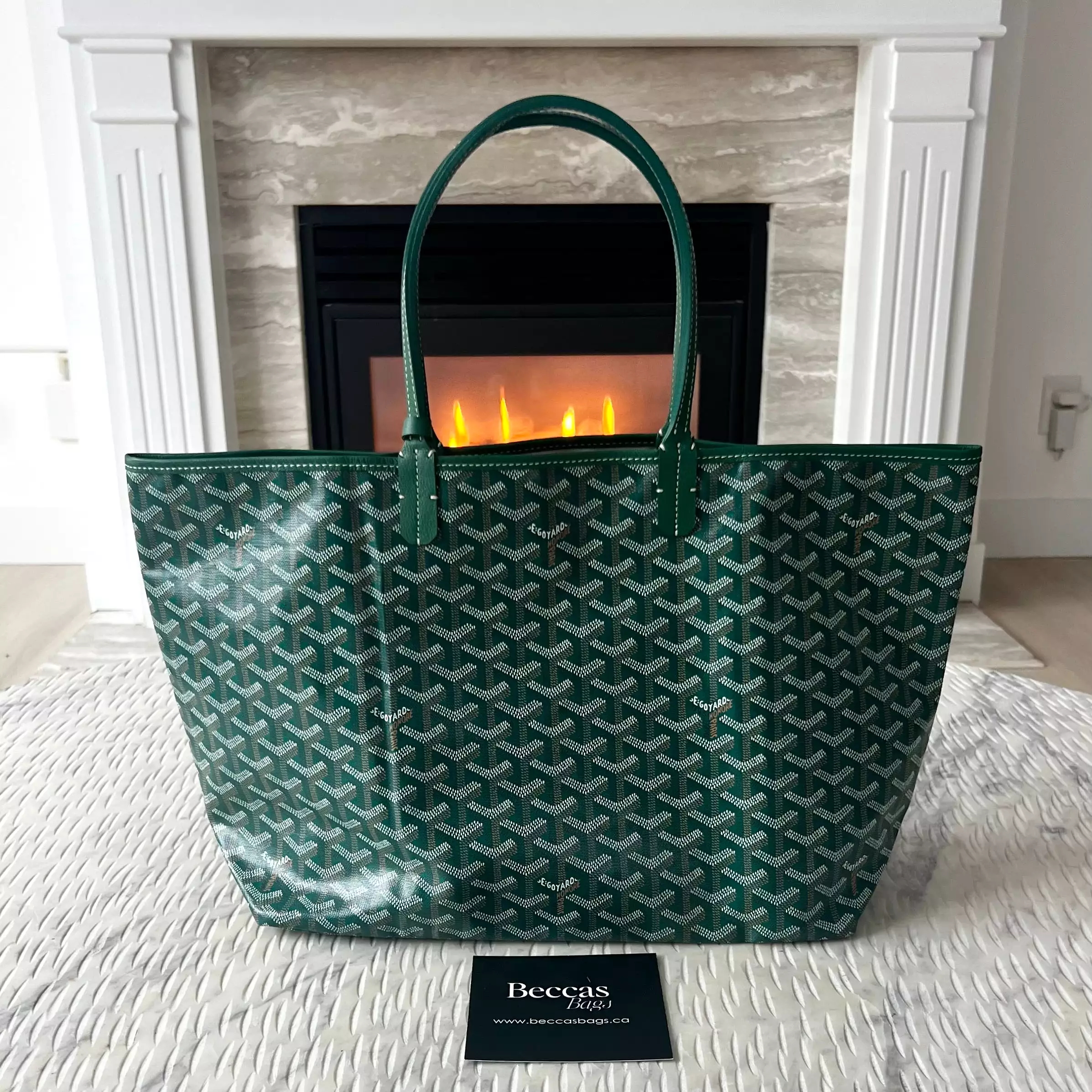 Goyard St Louis Bag