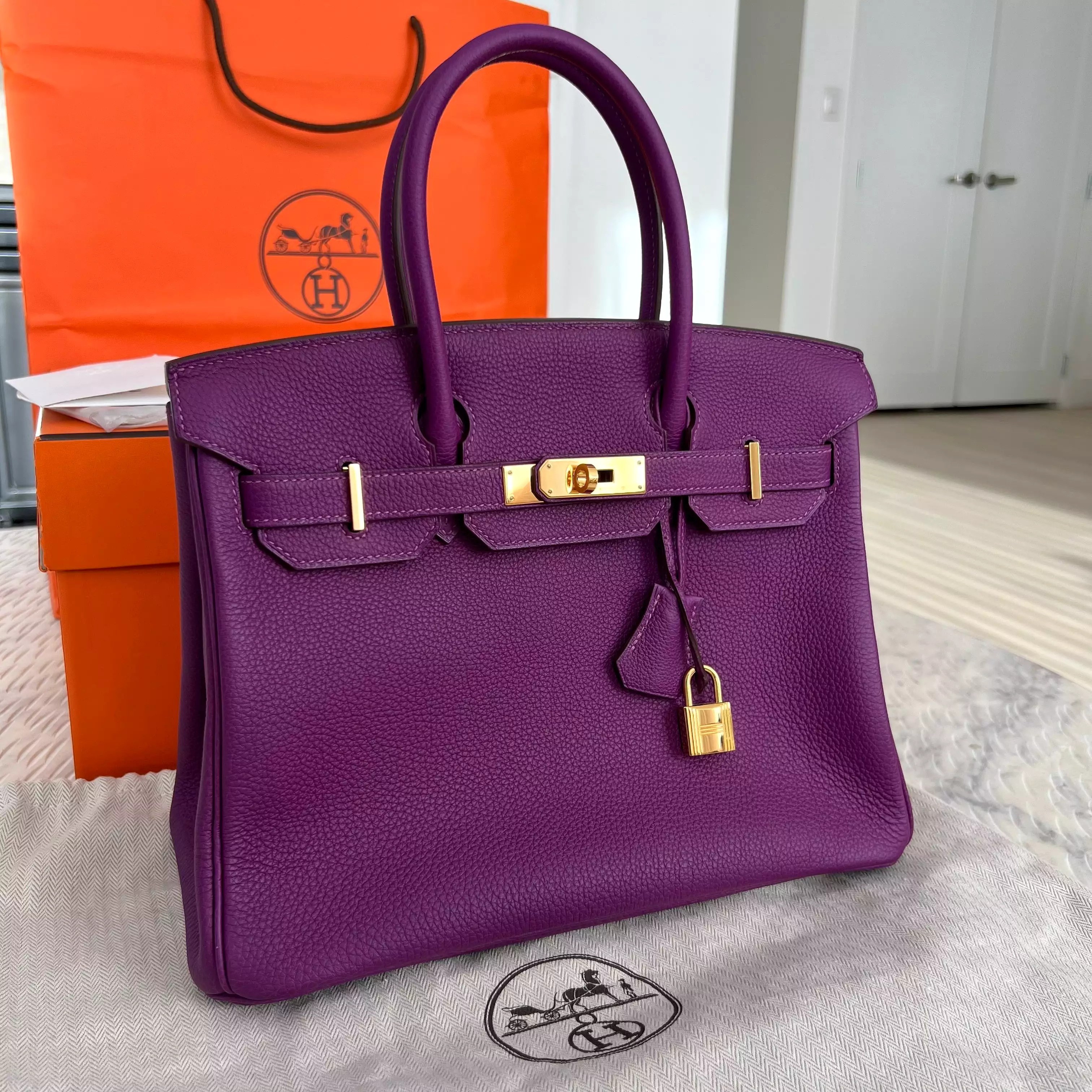 Hermes Birkin 30 Bag