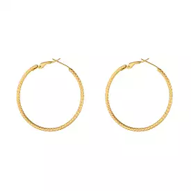 KNIGHT & DAY - Avalynn 40mm Hoops