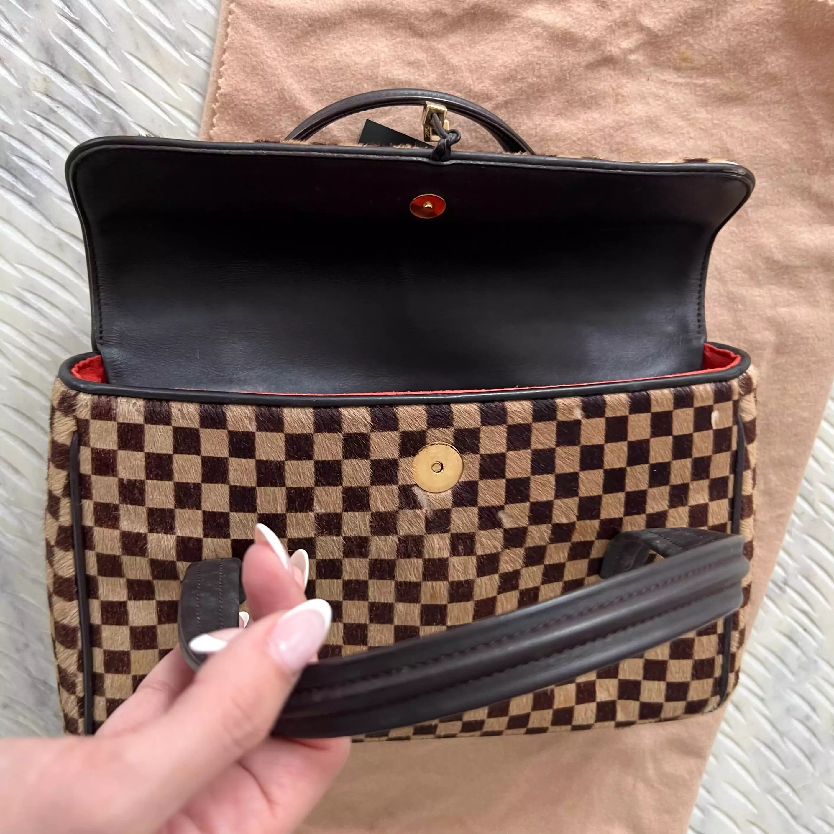 Louis Vuitton Damier Sauvage Lionne Calf Hair Bag