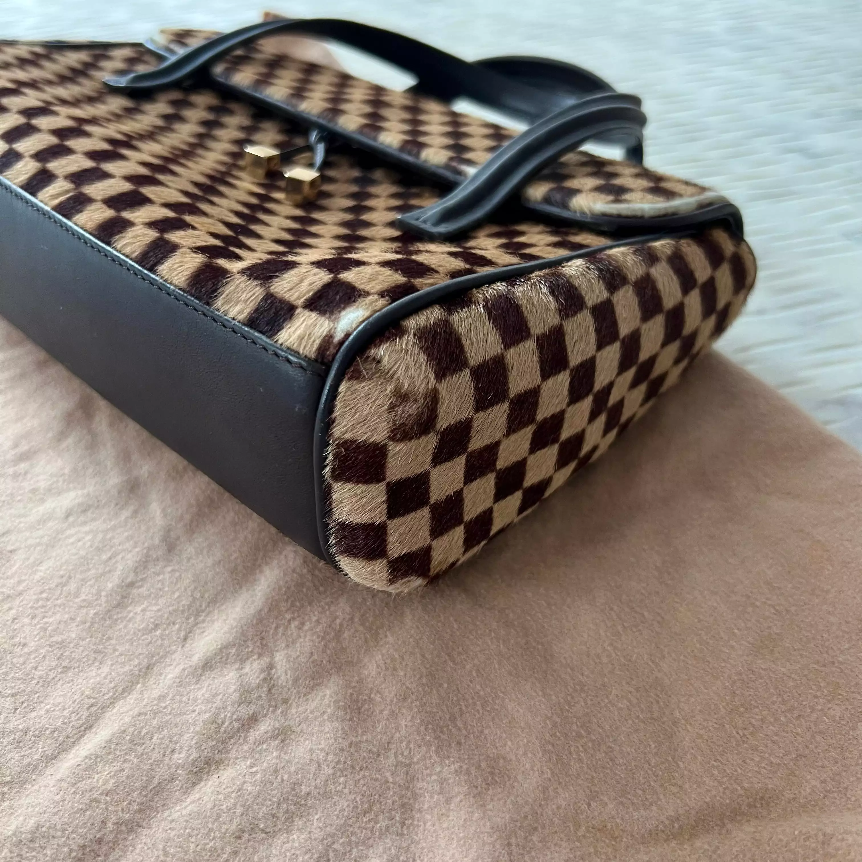 Louis Vuitton Damier Sauvage Lionne Calf Hair Bag