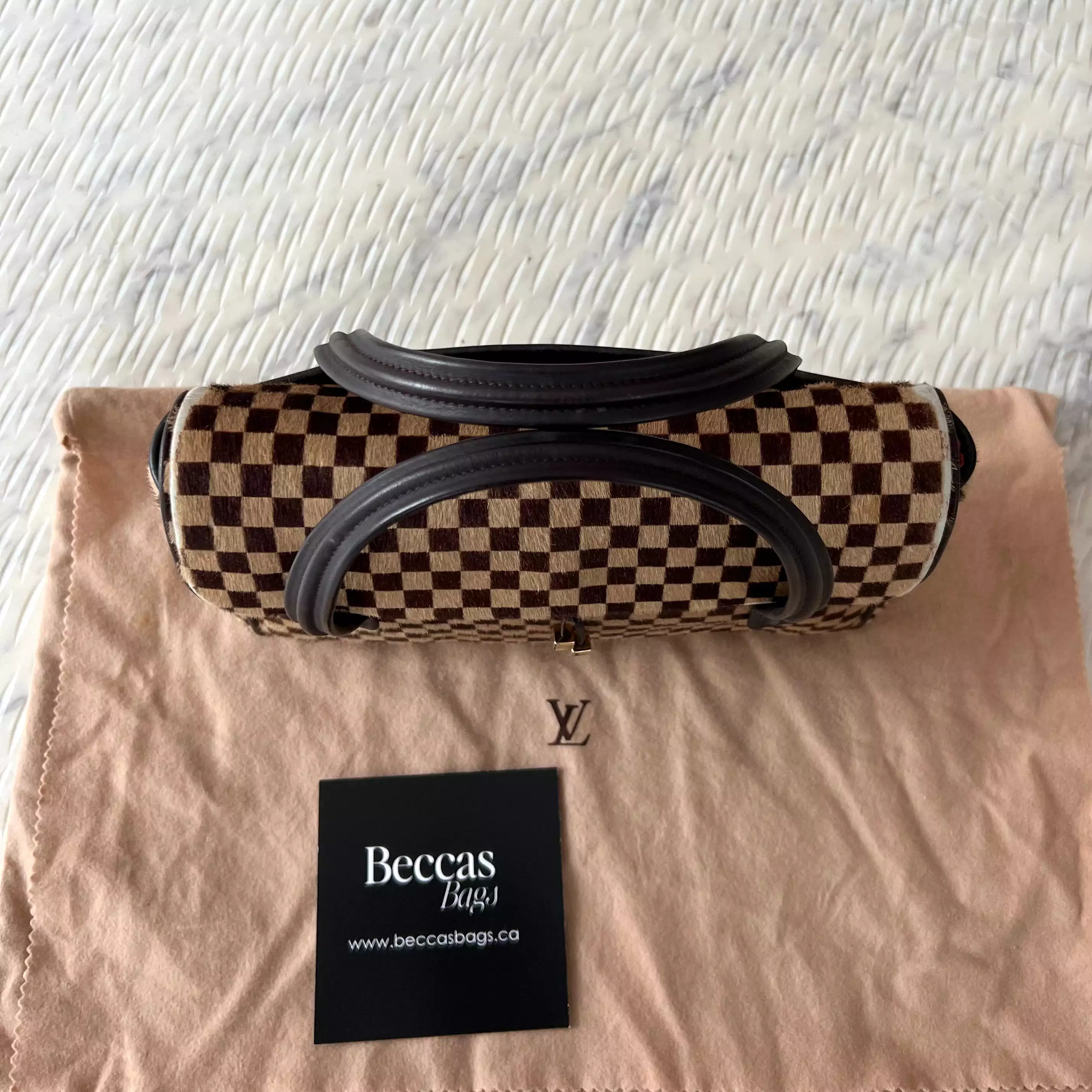 Louis Vuitton Damier Sauvage Lionne Calf Hair Bag