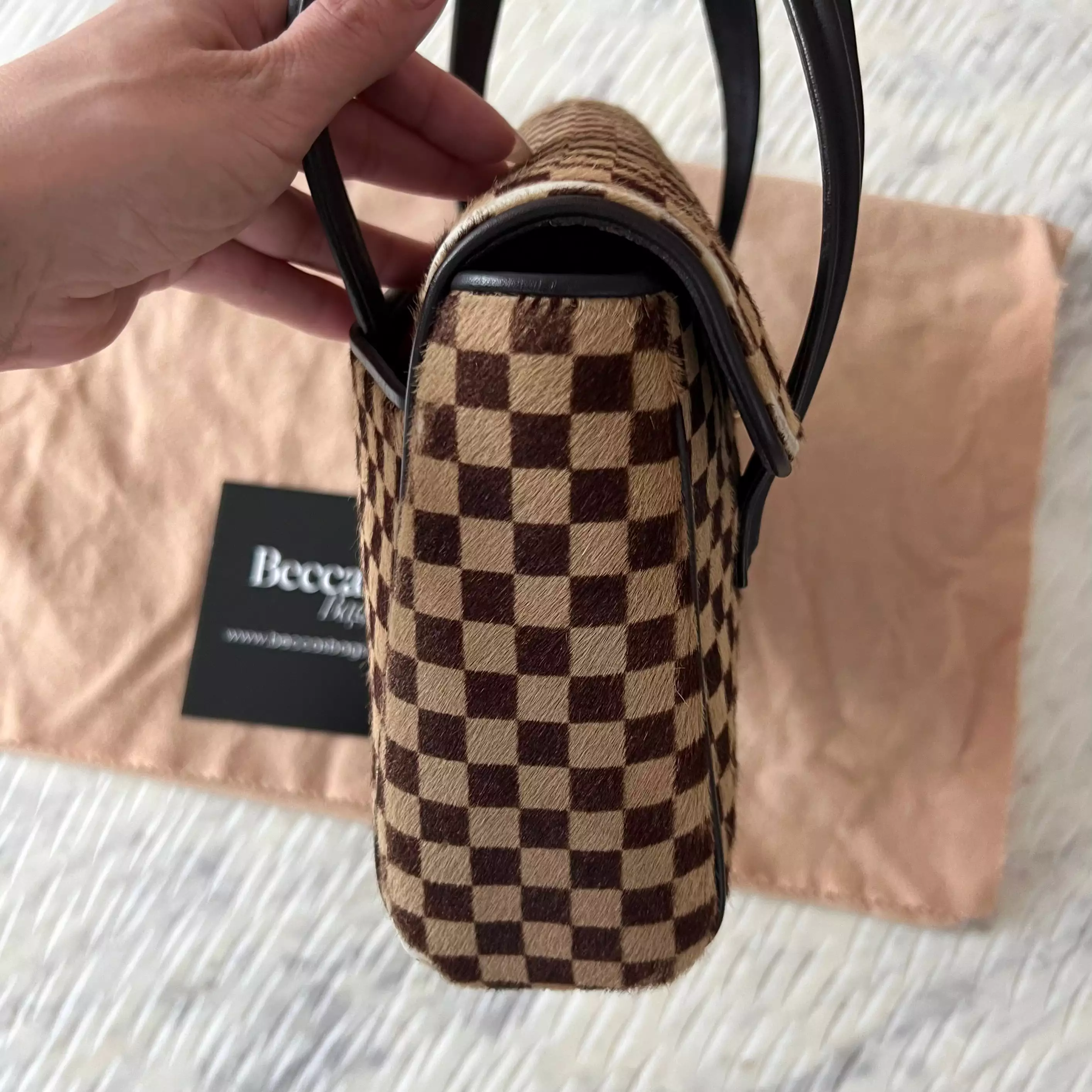 Louis Vuitton Damier Sauvage Lionne Calf Hair Bag