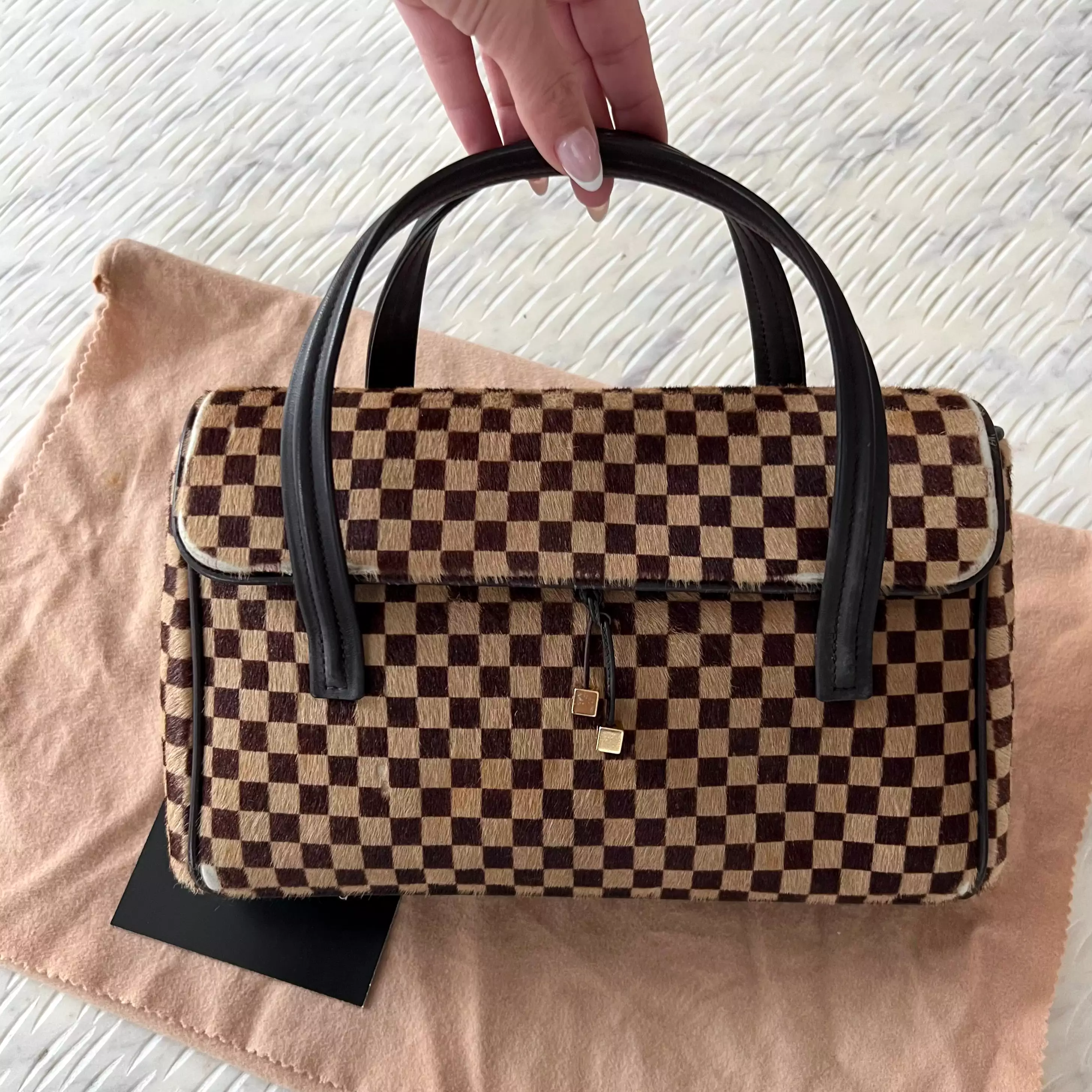 Louis Vuitton Damier Sauvage Lionne Calf Hair Bag