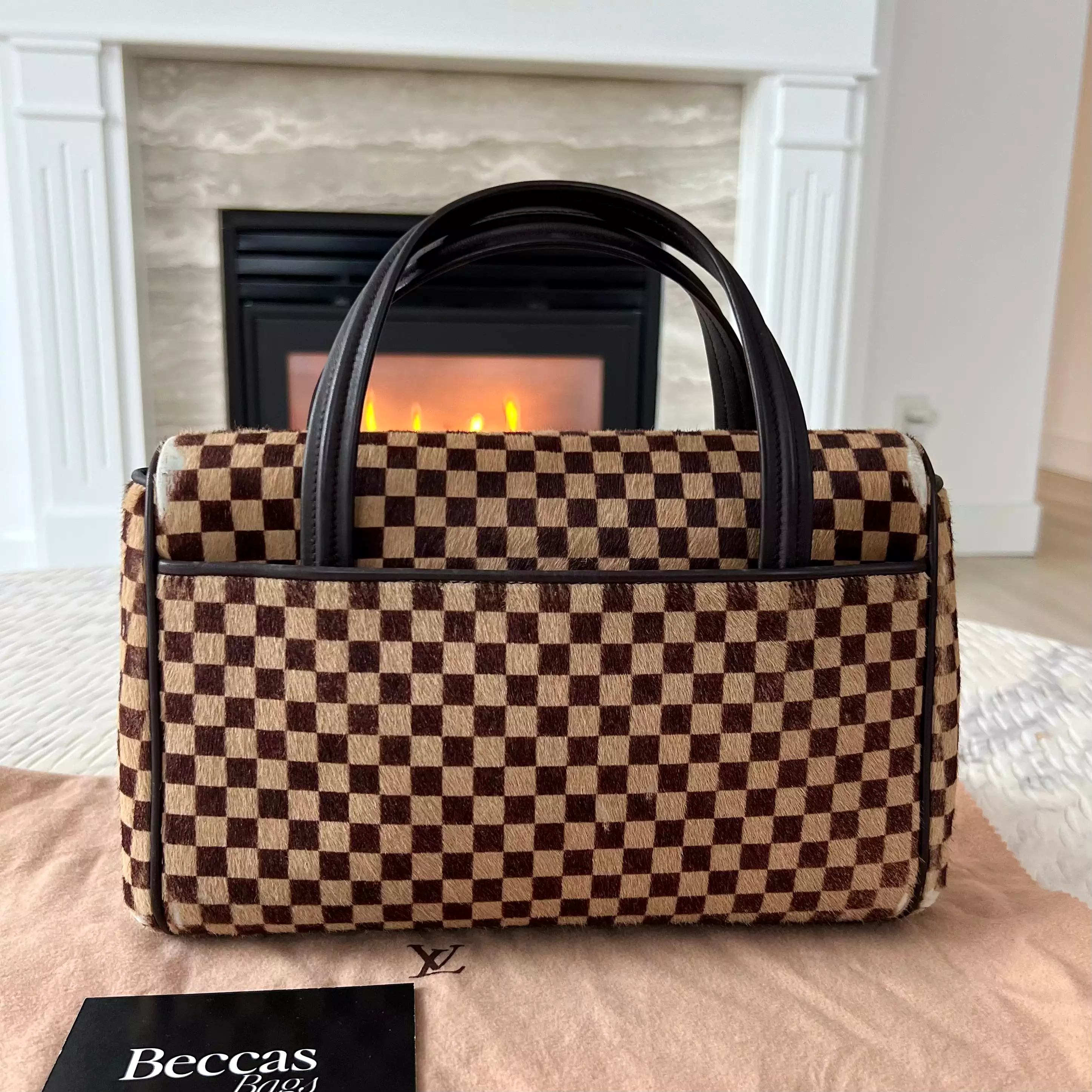 Louis Vuitton Damier Sauvage Lionne Calf Hair Bag