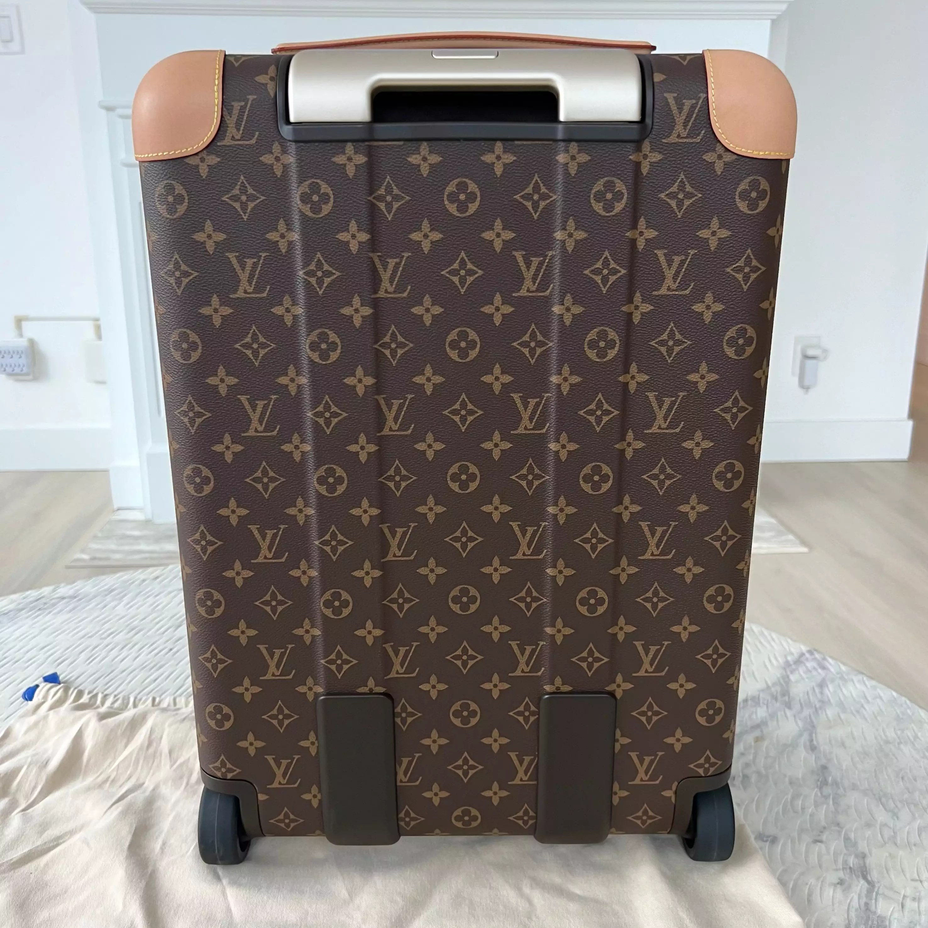 Louis Vuitton Pegase Bag