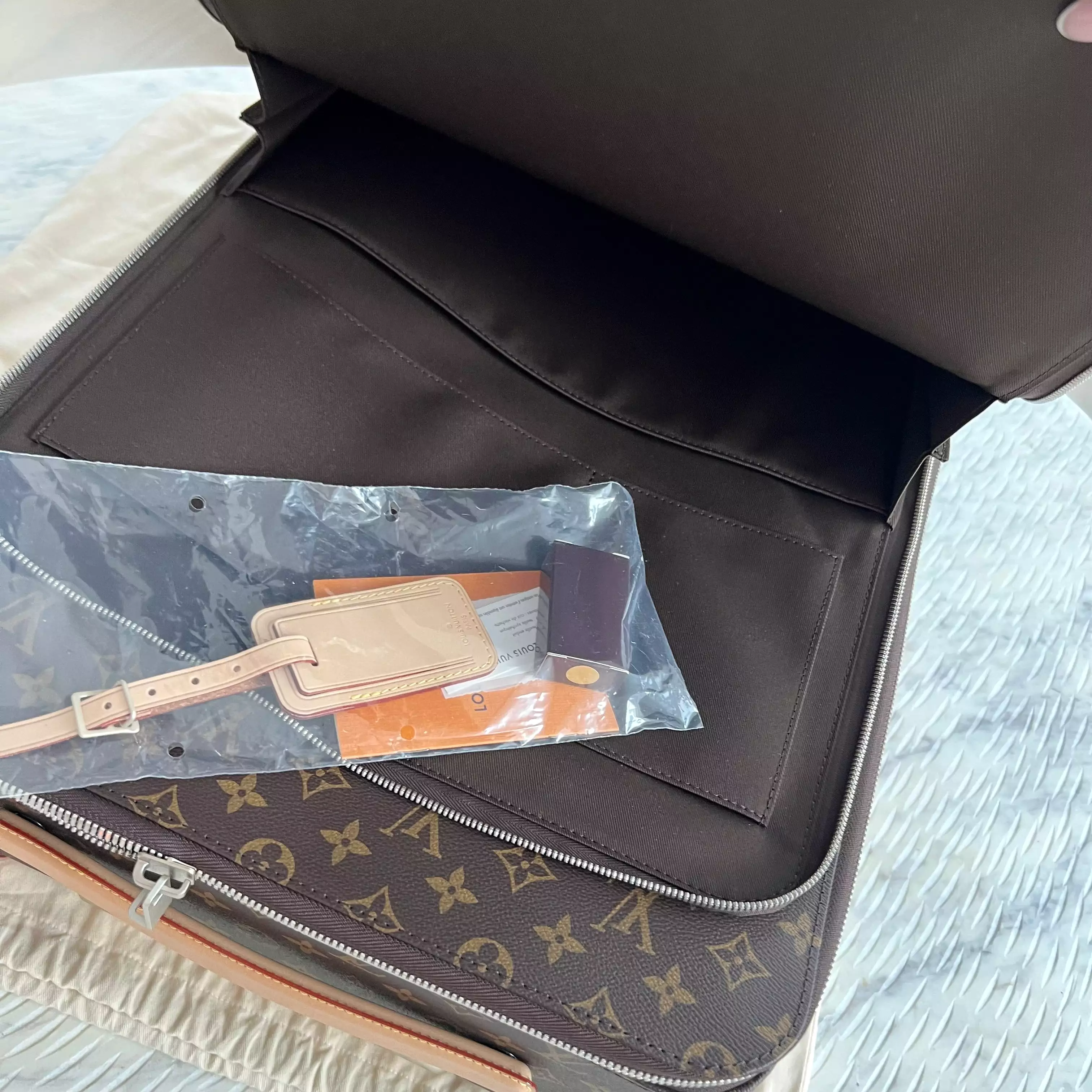 Louis Vuitton Pegase Bag