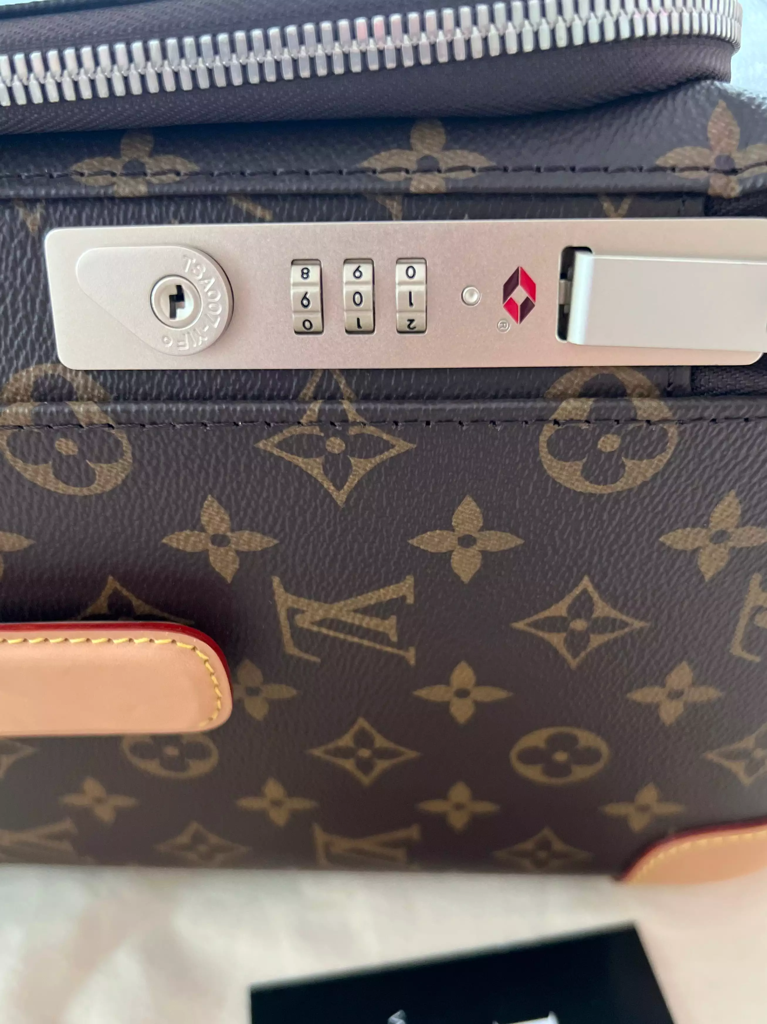 Louis Vuitton Pegase Bag