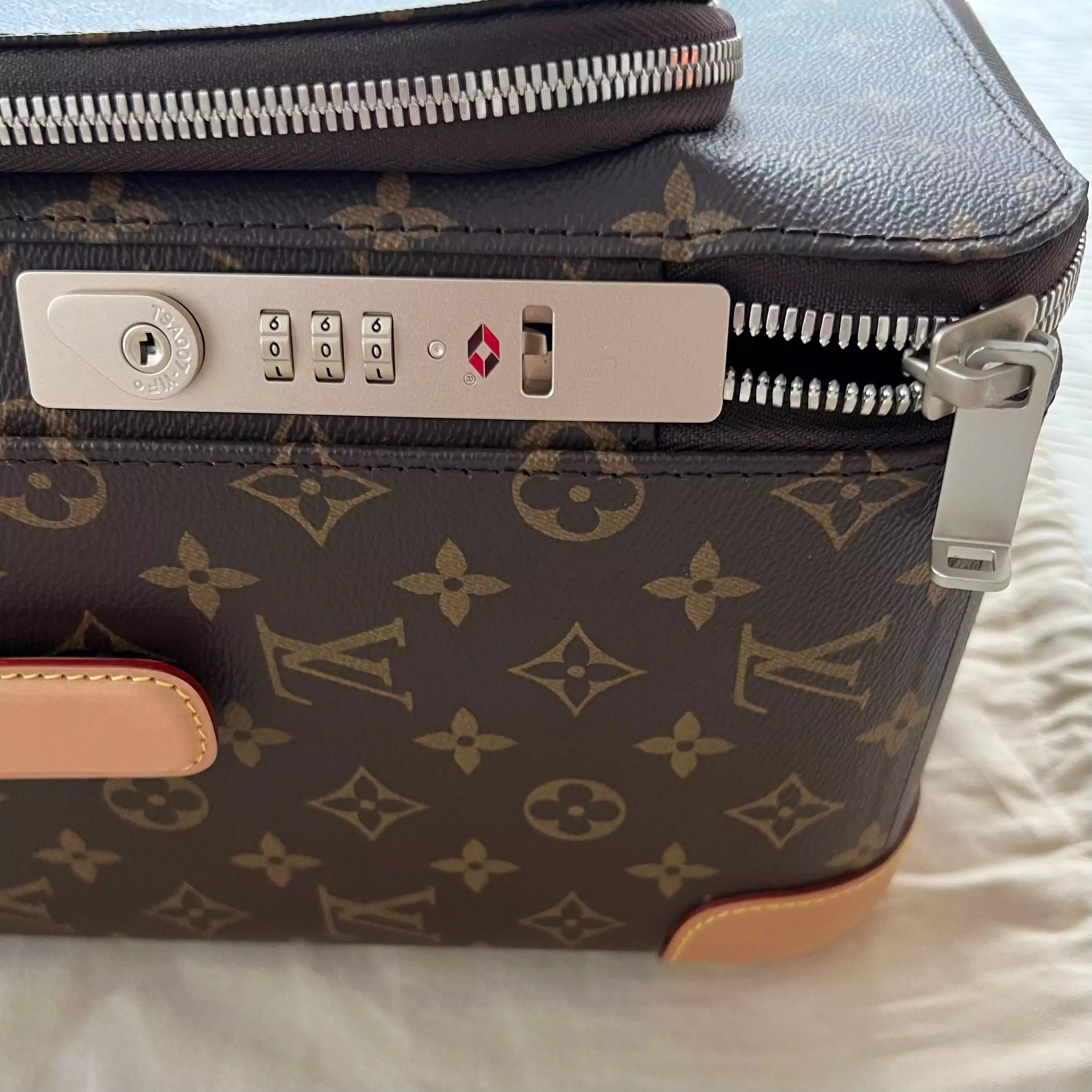 Louis Vuitton Pegase Bag