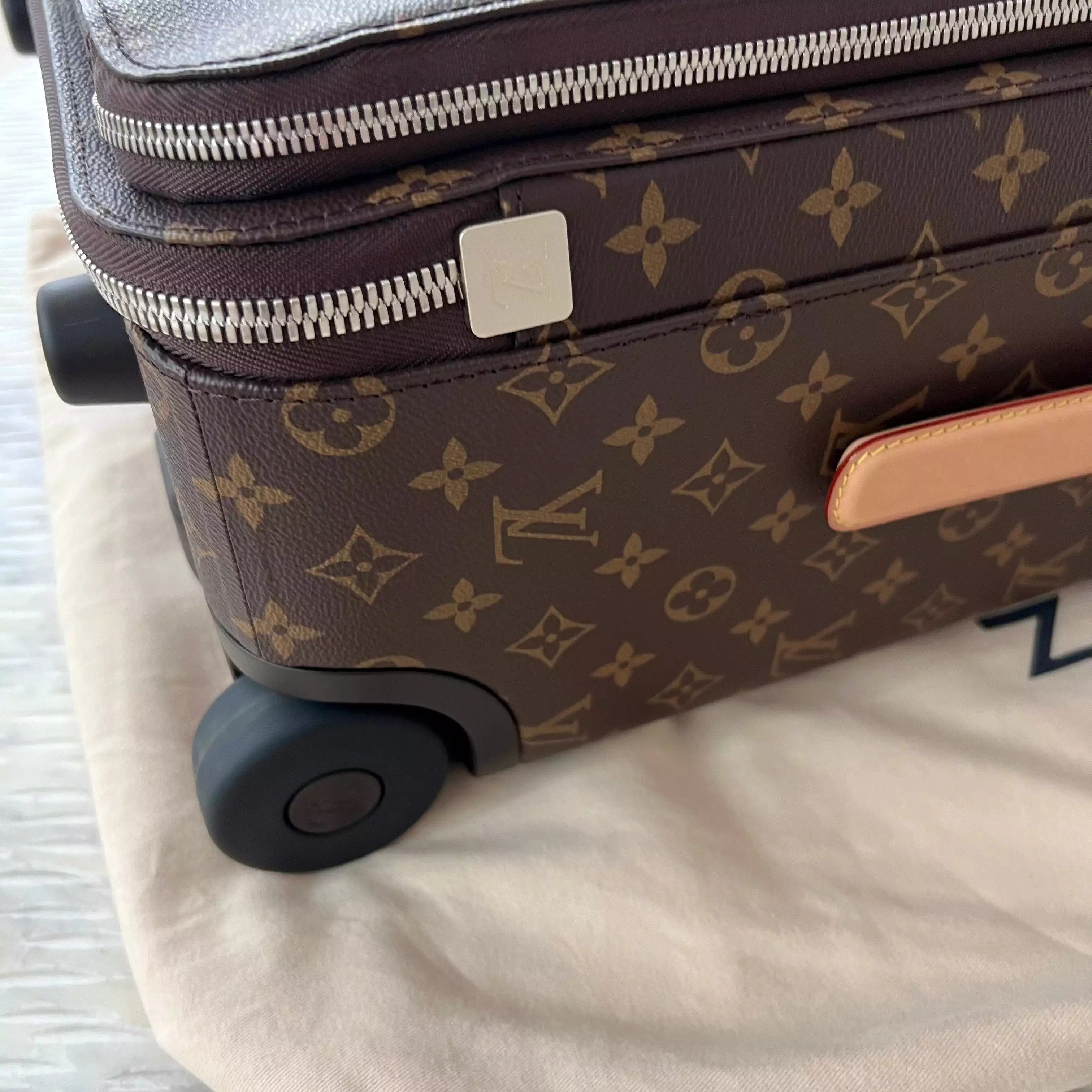 Louis Vuitton Pegase Bag