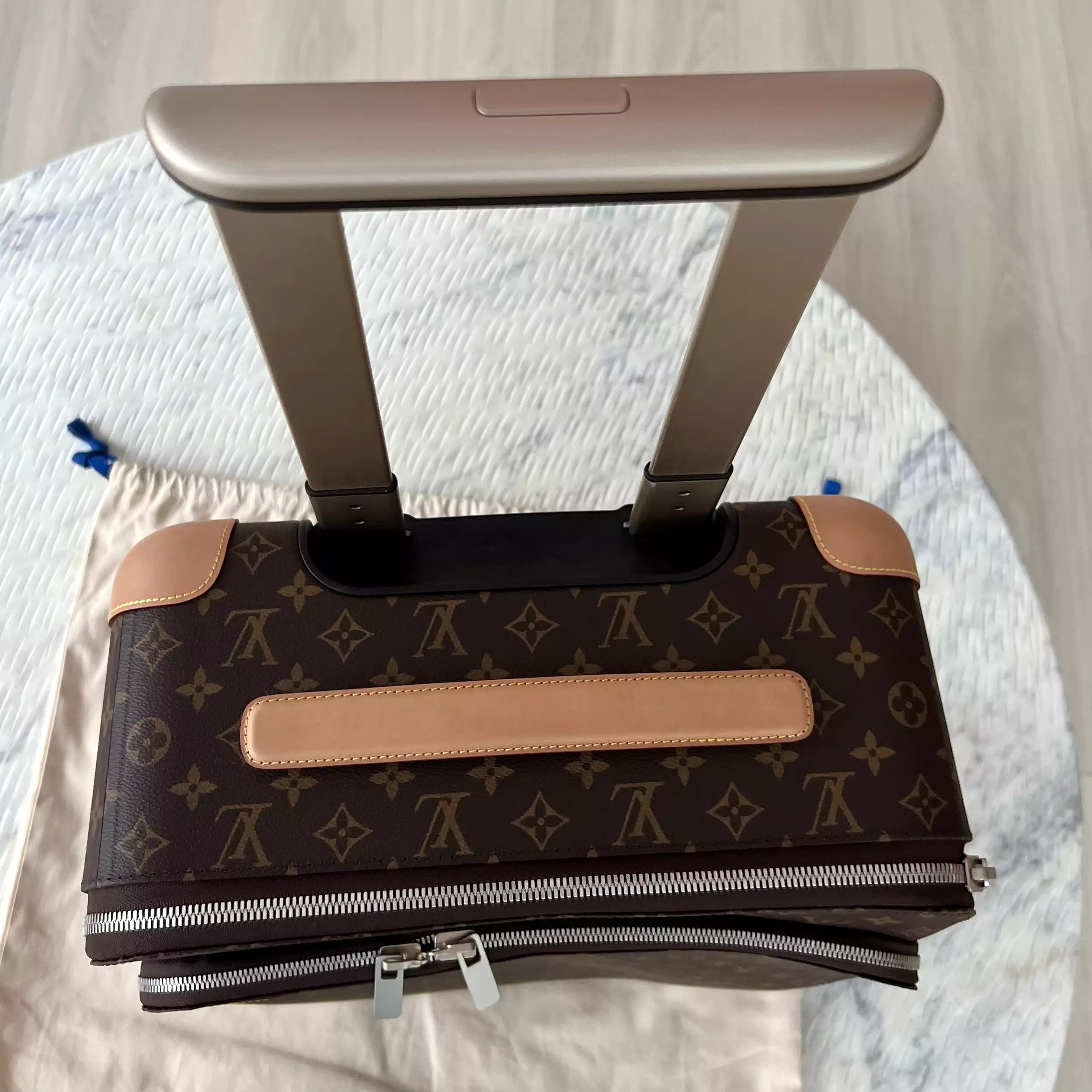 Louis Vuitton Pegase Bag