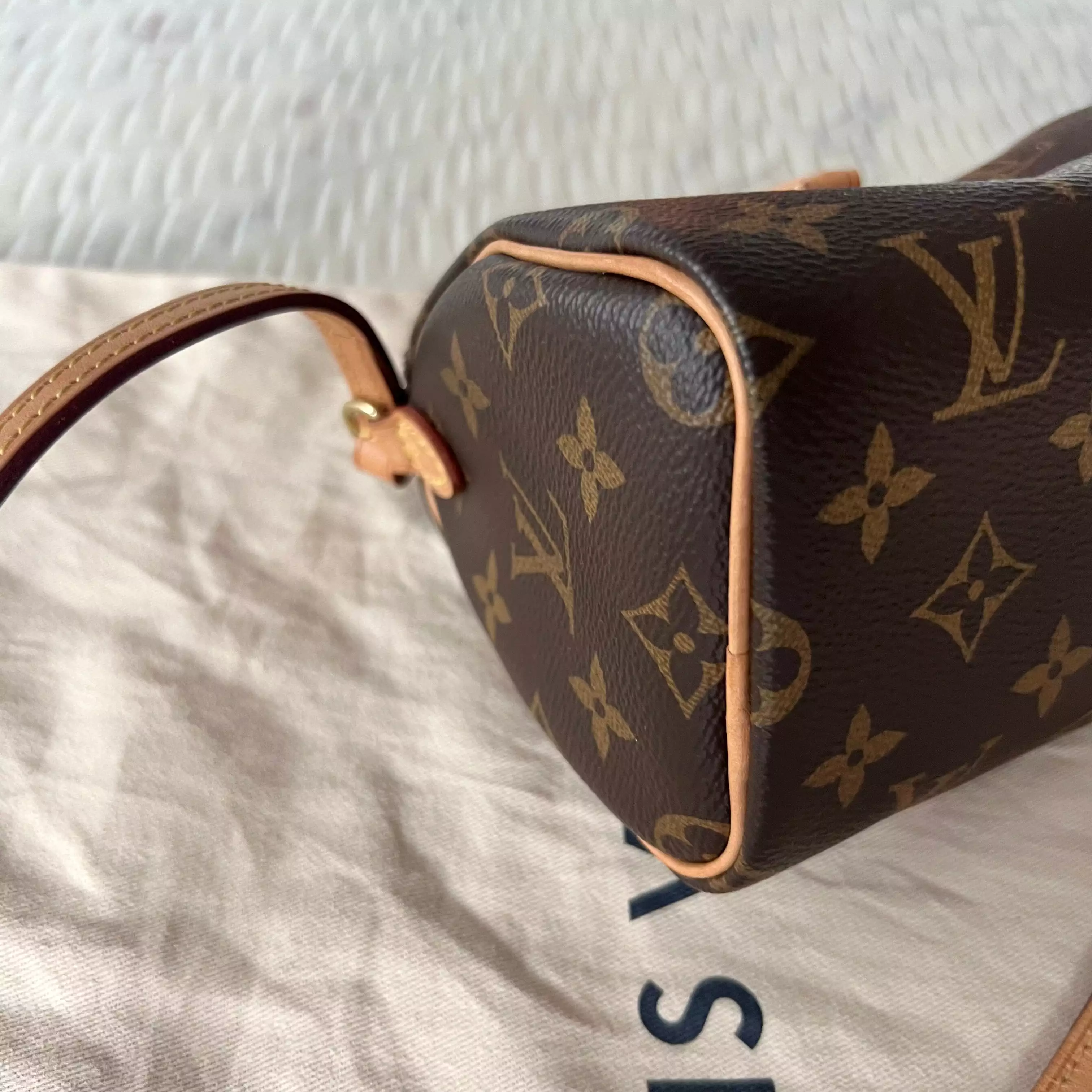 Louis Vuitton Speedy Nano Bag