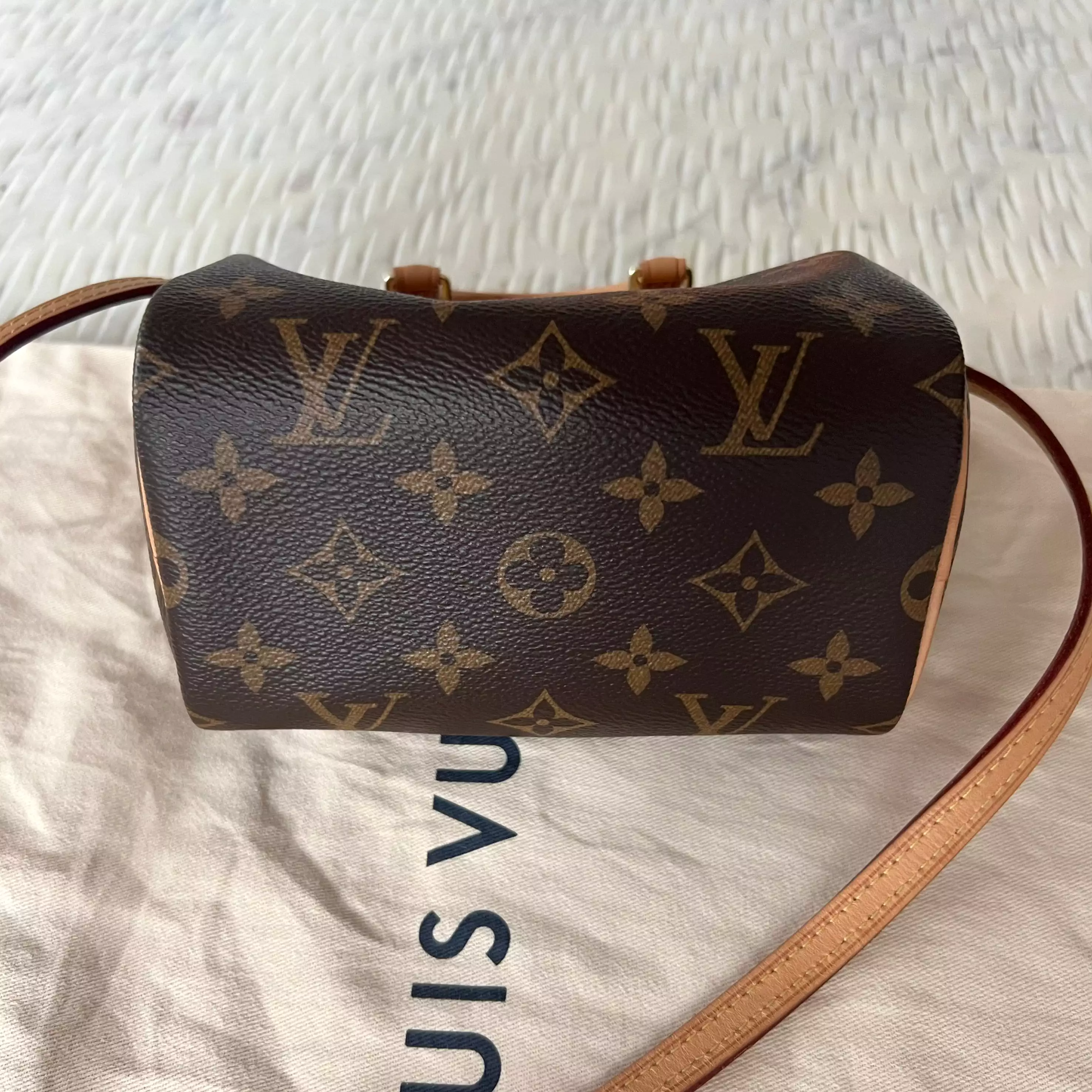 Louis Vuitton Speedy Nano Bag