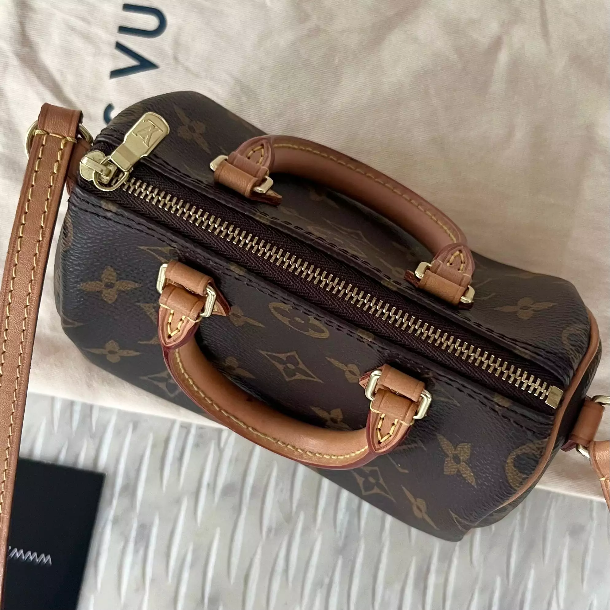 Louis Vuitton Speedy Nano Bag