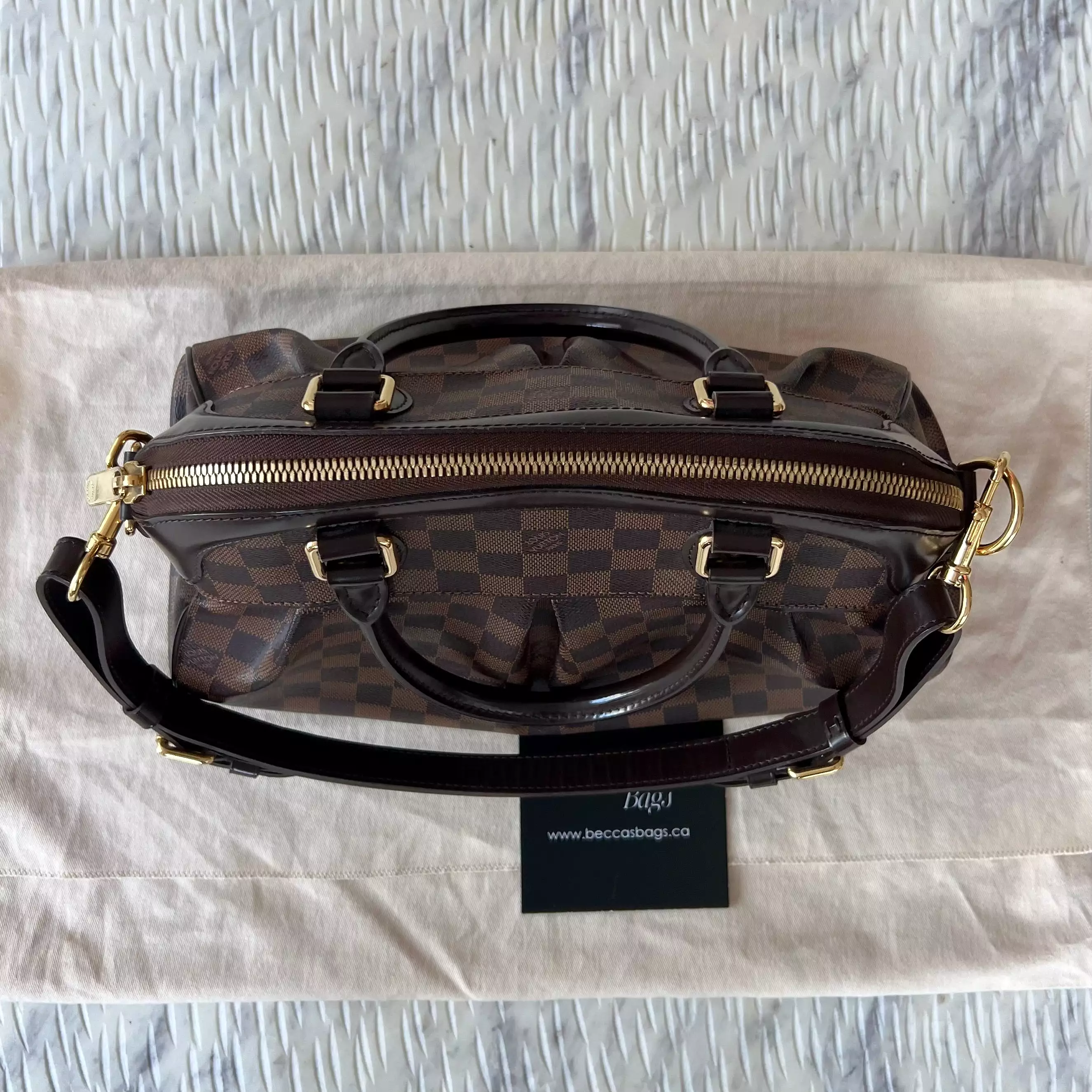 Louis Vuitton Trevi PM Bag