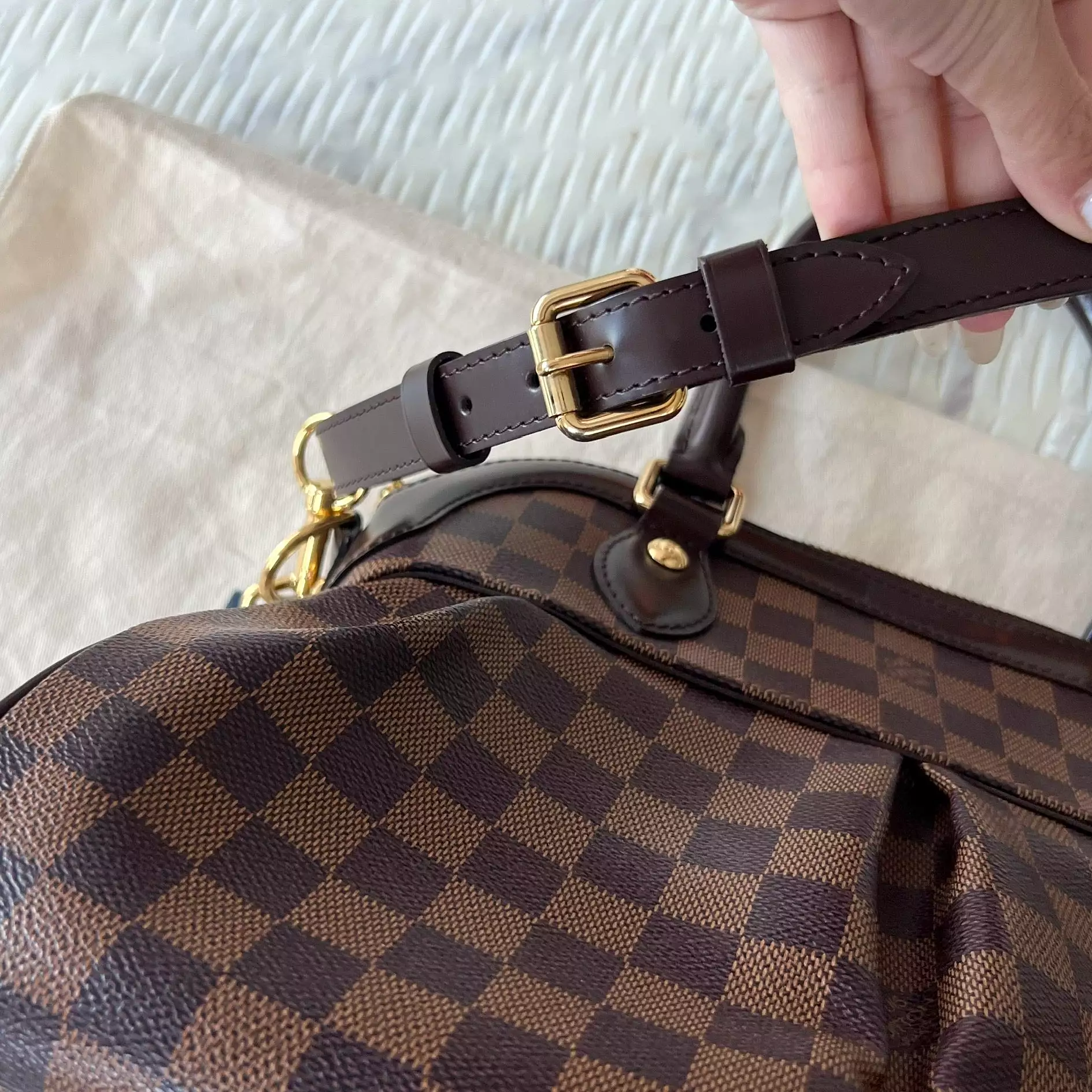 Louis Vuitton Trevi PM Bag