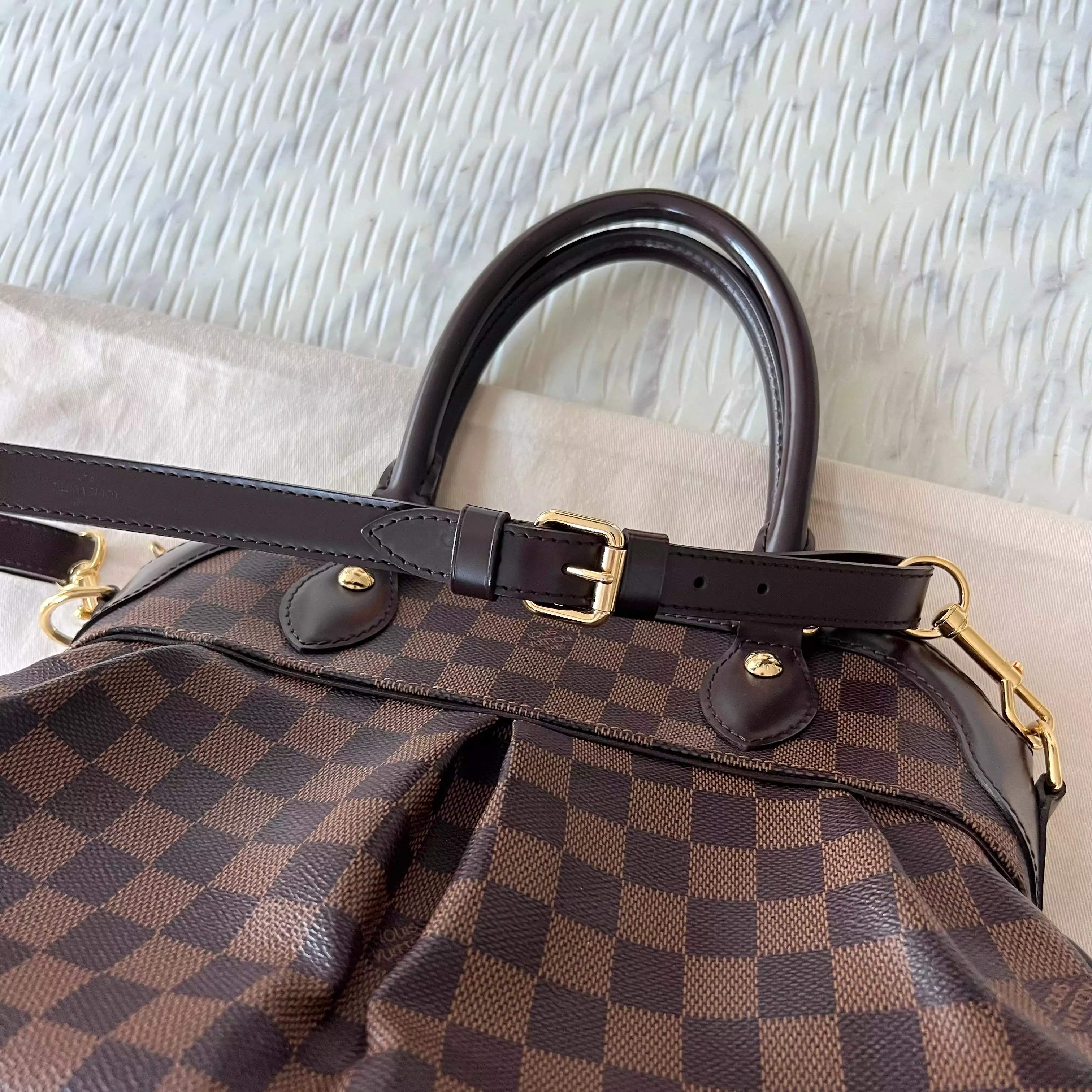 Louis Vuitton Trevi PM Bag