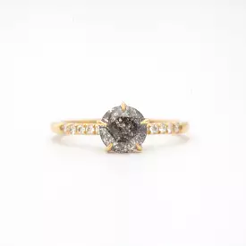 Salt and Pepper Diamond Vault Five-Prong Solitaire